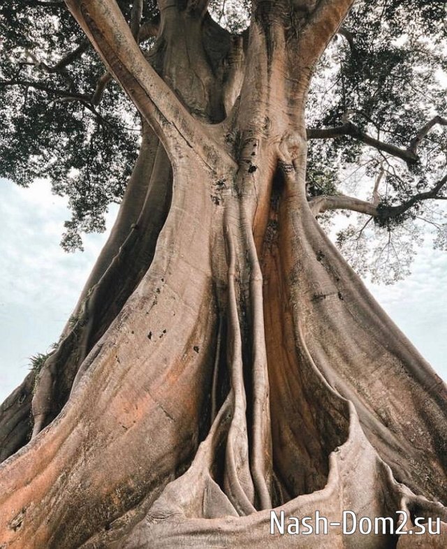 ��������� �������: ���� � ������ ������ - ������!