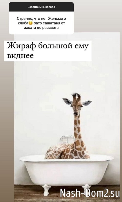 ������ ��������: � �� �������� ������ �����!