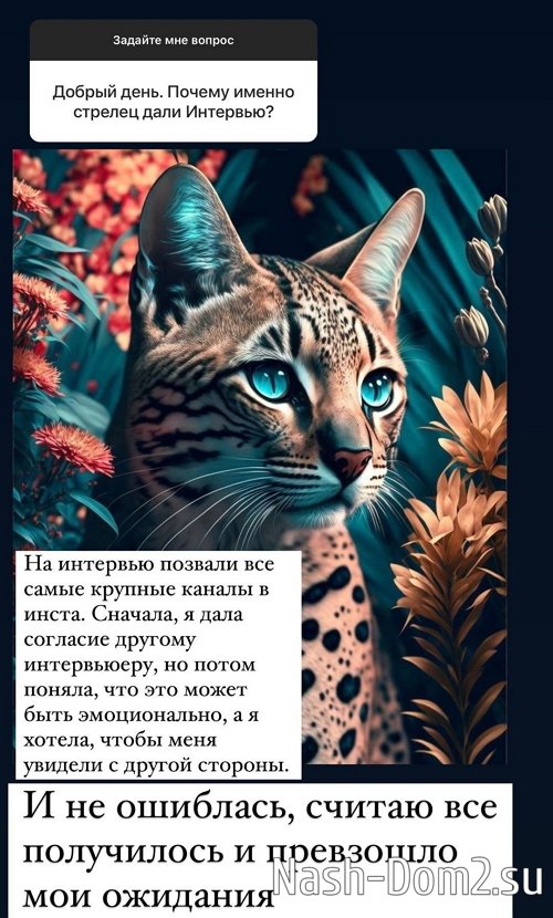 ������ ��������: � �� �������� ������ �����!