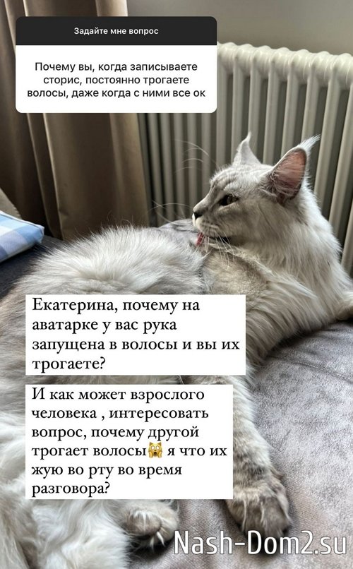 ������ ��������: � �� �������� ������ �����!