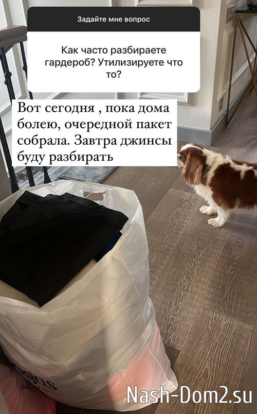 ������ ��������: � �� �������� ������ �����!