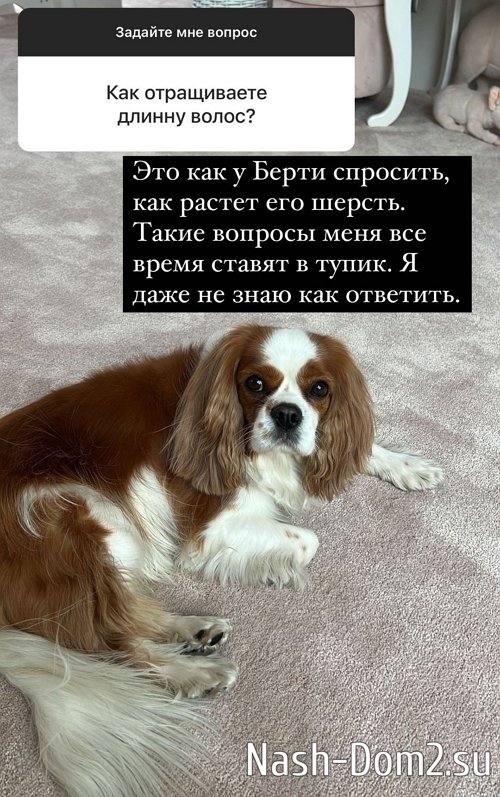 ������ ��������: � �� �������� ������ �����!