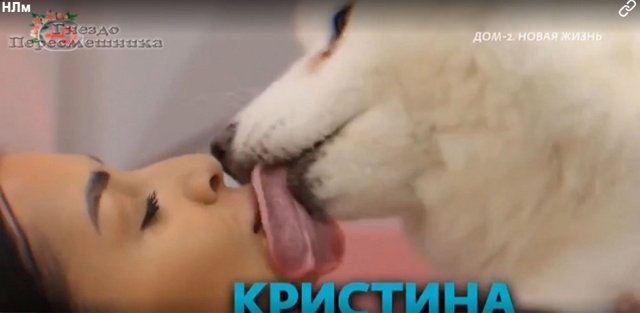 ������ � ��������� ��������� �������� (17.04.2023)