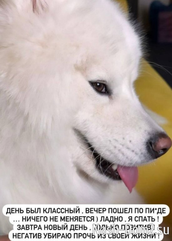 ���������� ����� �������� ������� � ���������� � ������ ����������