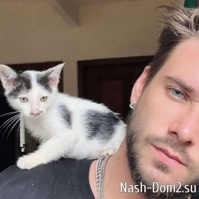 ���� �� ������ ���������� (17.04.2023)