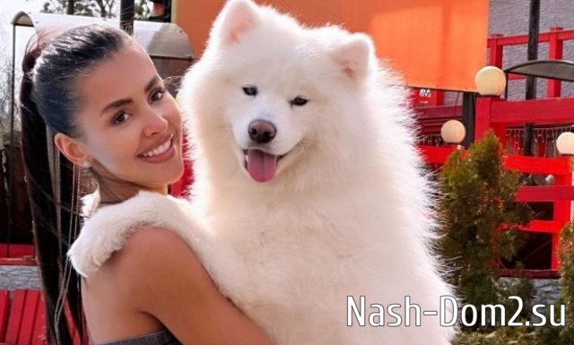 Бухынбалтэ понимает, что Барзиков может сойтись с Полыгаловой ради ребёнка Бухынбалтэ понимает, что Барзиков может сойтись с Полыгаловой ради ребёнка