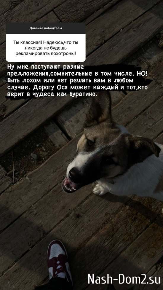 ���� ���������: ����� ������ ������ �������!