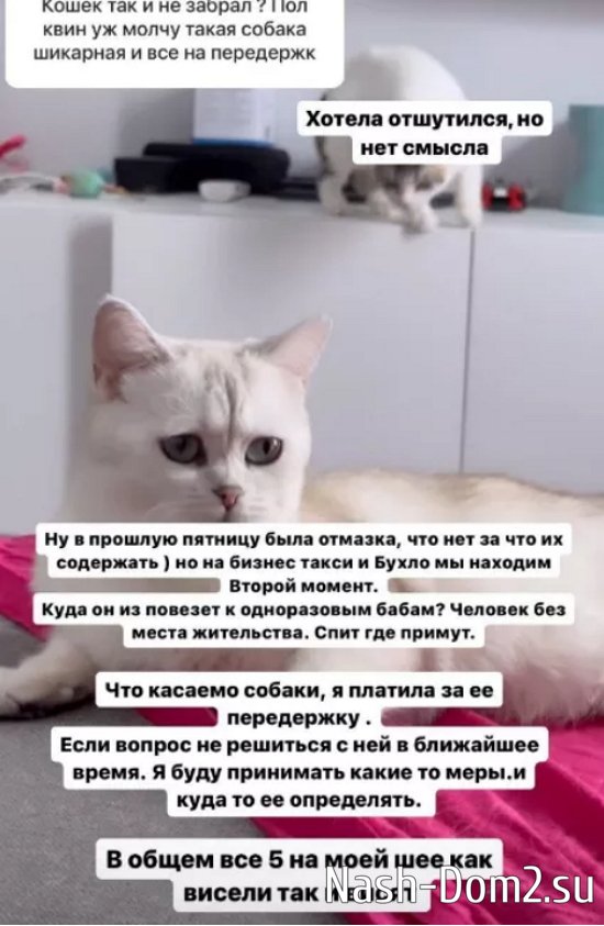 ���������� ���������� ������� ��������, ����� ������� �������� � ��������