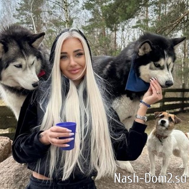 ���� �� ������ ���������� (19.04.2023)