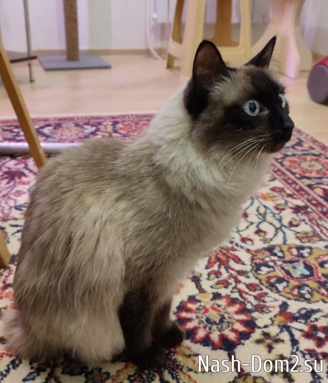 ������� �������� ����� ������ ����, �� ��������� ��� ��������