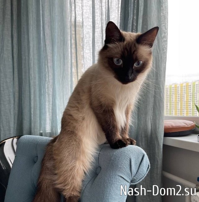 ������� �������� ����� ������ ����, �� ��������� ��� ��������