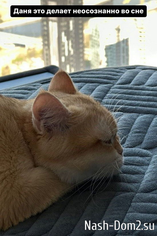 ������ �����������: ���� ��� ���� ����� ����!