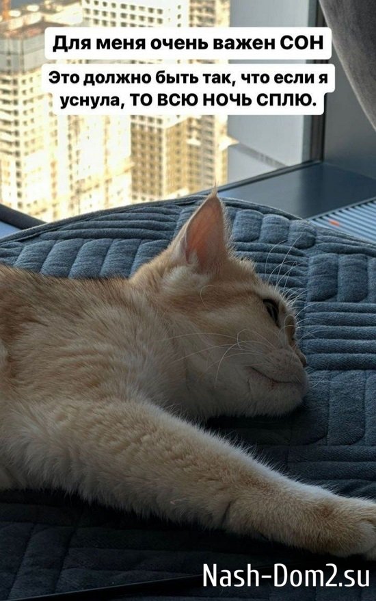 ������ �����������: ���� ��� ���� ����� ����!