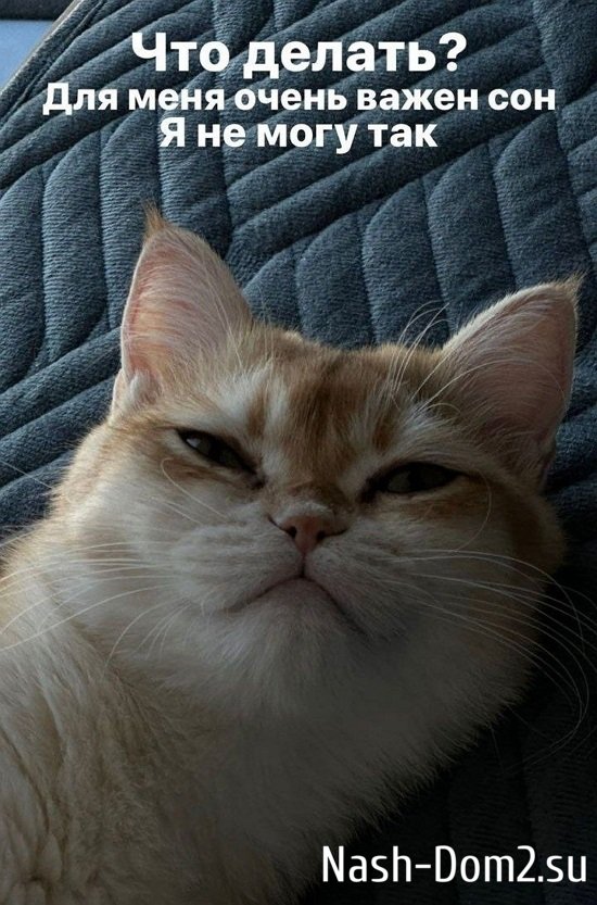 ������ �����������: ���� ��� ���� ����� ����!