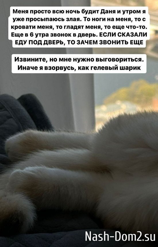 ������ �����������: ���� ��� ���� ����� ����!