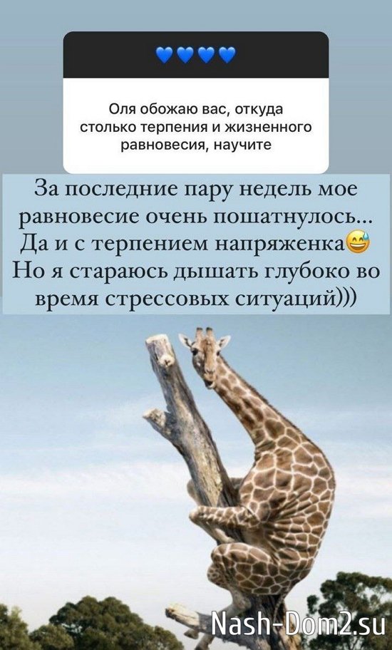 ����� ������: � ��������� ���� ����������...