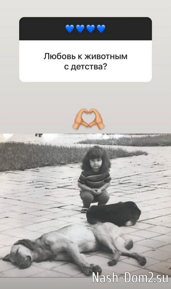 ����� ������: � ��������� ���� ����������...