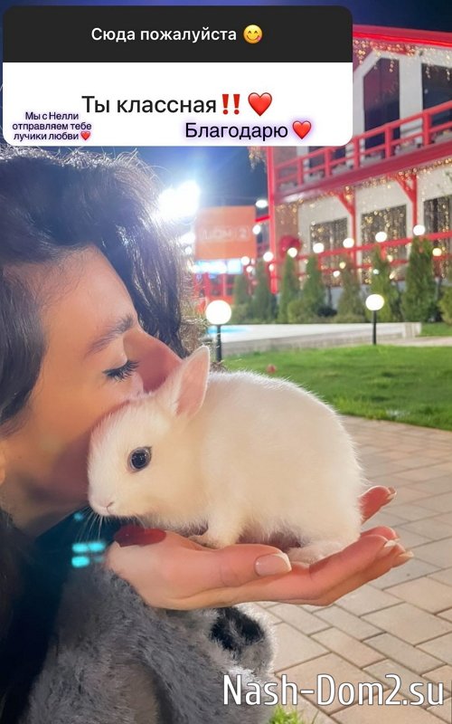 ����� ��������: � �������