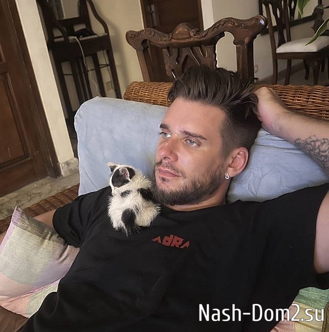 Ромашовы не знают, что делать со своим котом Джокером Ромашовы не знают, что делать со своим котом Джокером