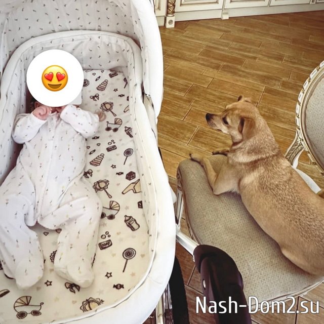 Ольга Орлова показала, кто теперь спит на месте её дочери Ольга Орлова показала, кто теперь спит на месте её дочери