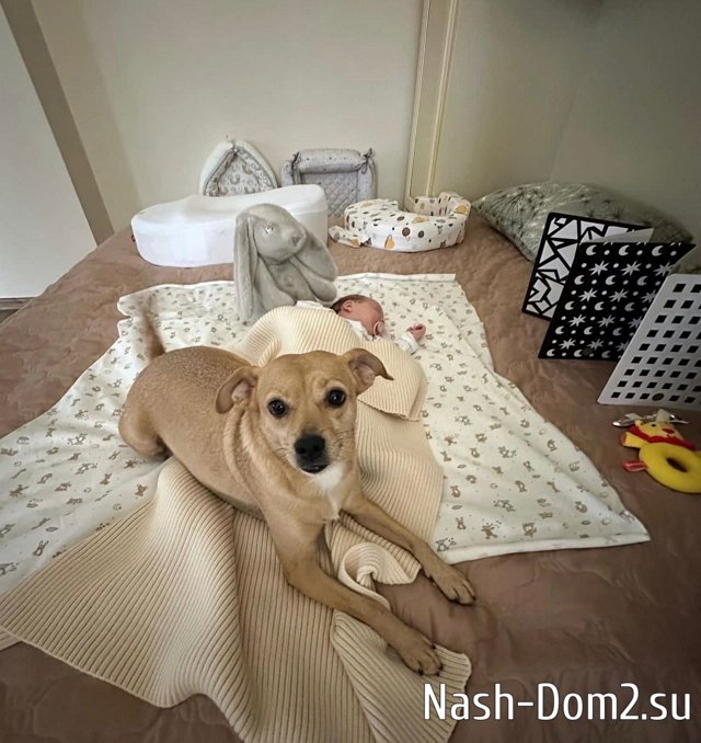 ����� ������: ������� ������ ���� � ������ �� ���� ��������!