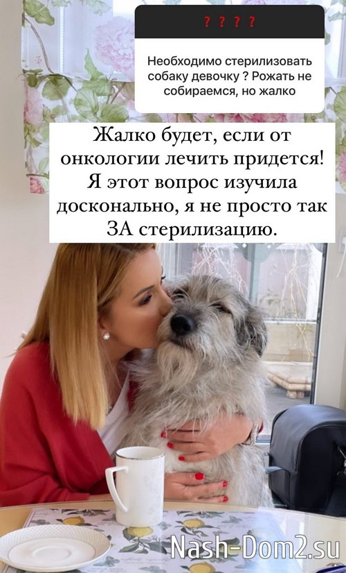 ����� ������: ����� �������, ��� � ���� � ���� �� ���