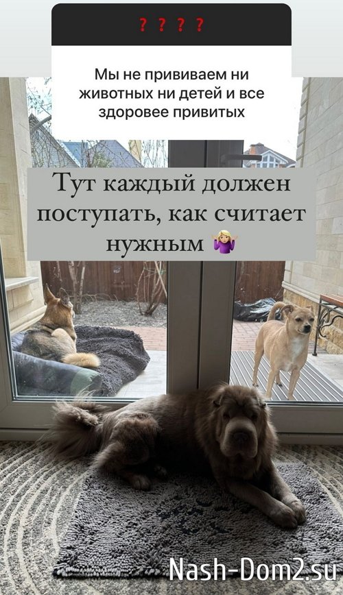 ����� ������: ����� �������, ��� � ���� � ���� �� ���