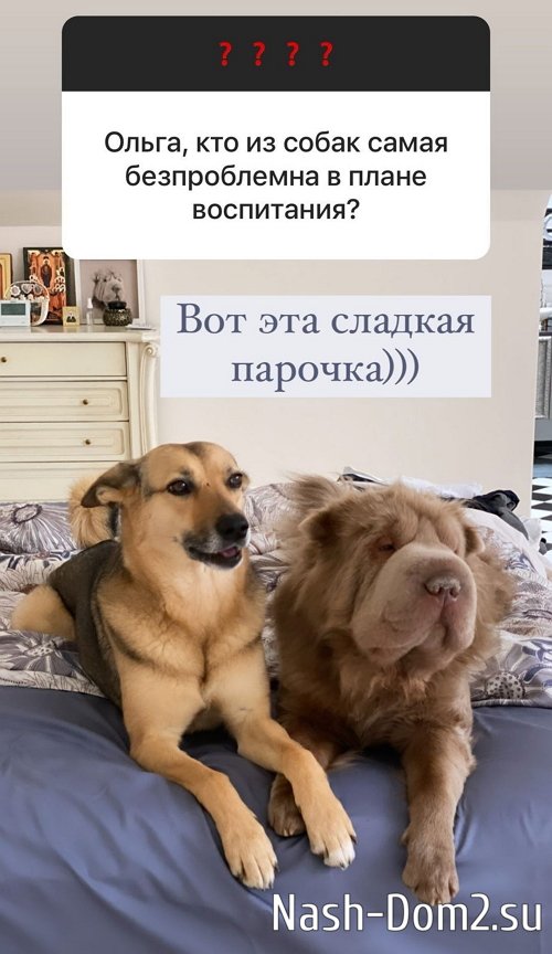 ����� ������: ����� �������, ��� � ���� � ���� �� ���