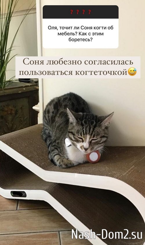 ����� ������: ����� �������, ��� � ���� � ���� �� ���