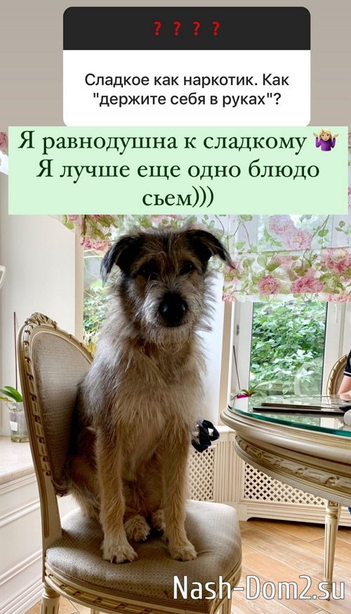 ����� ������: ����� �������, ��� � ���� � ���� �� ���