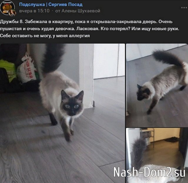 ������� �������� ���������� �� ���������� ����, ������� ��� ����� �� �� �������?