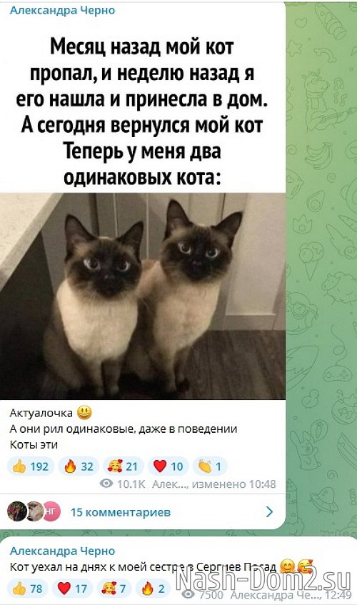 ������� �������� ���������� �� ���������� ����, ������� ��� ����� �� �� �������?