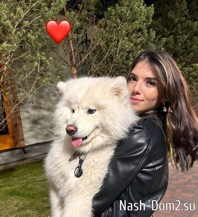 ���� �� ������ ���������� (8.05.2023)