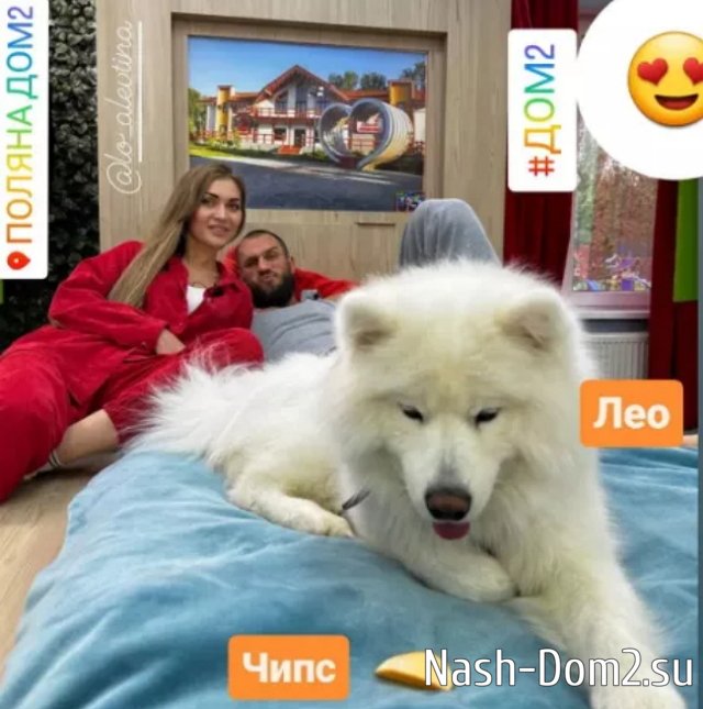 Фаломин в сговоре с Адеевым? Фаломин в сговоре с Адеевым?