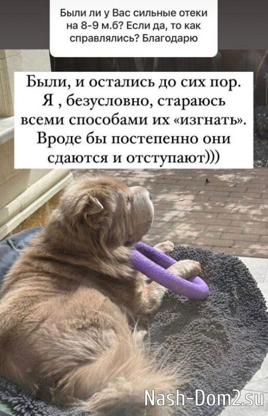 ����� ������ ����������, ��� ����� ����� � �� �������� �������� �� ���������