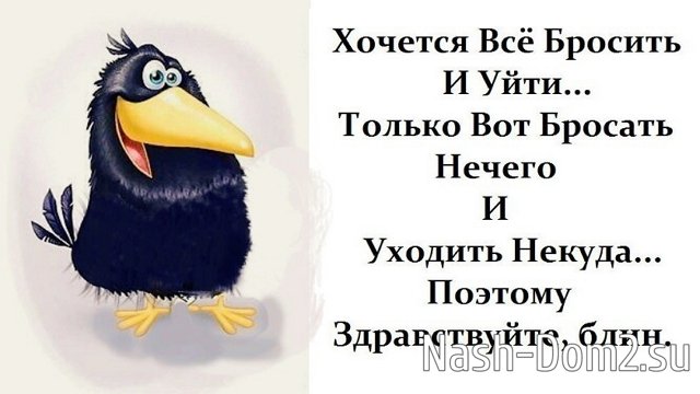 Мнение о последних проектных событиях (14.05.2023) Мнение о последних проектных событиях (14.05.2023)