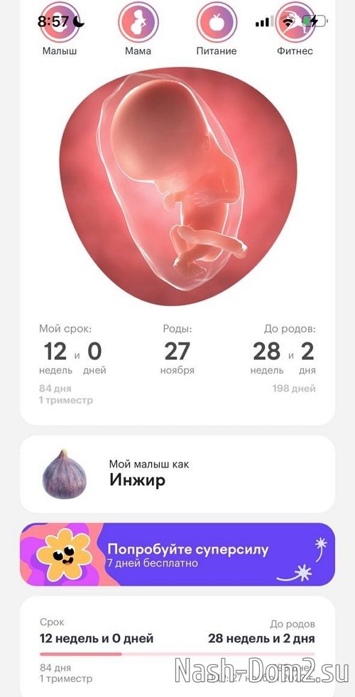 ���������� ��������, ��� ���������� � ������ �� 12-� ������ ������������