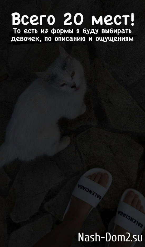 ������ �����������: ����� 20 ����!