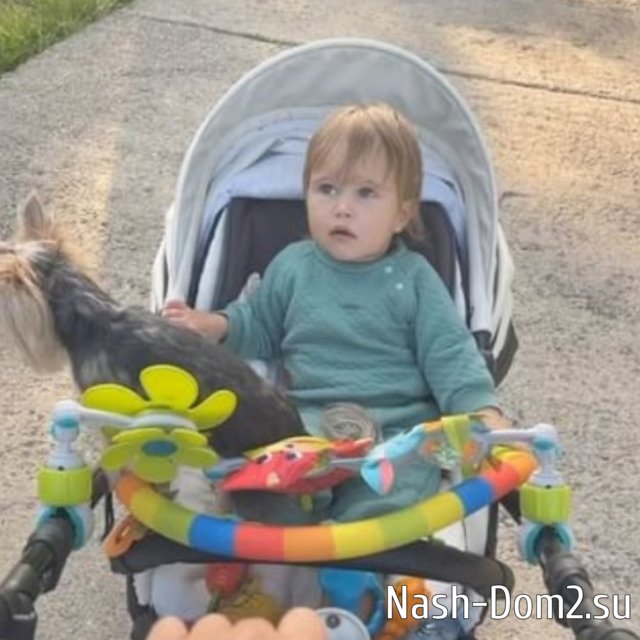 ���� ����� ���������� ����-2 (24.05.2023)