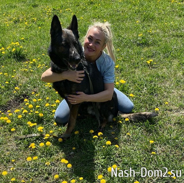 ���� �� ������ ���������� (26.05.2023)