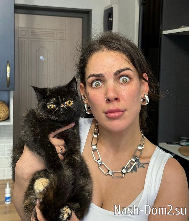 ���� �� ������ ���������� (26.05.2023)