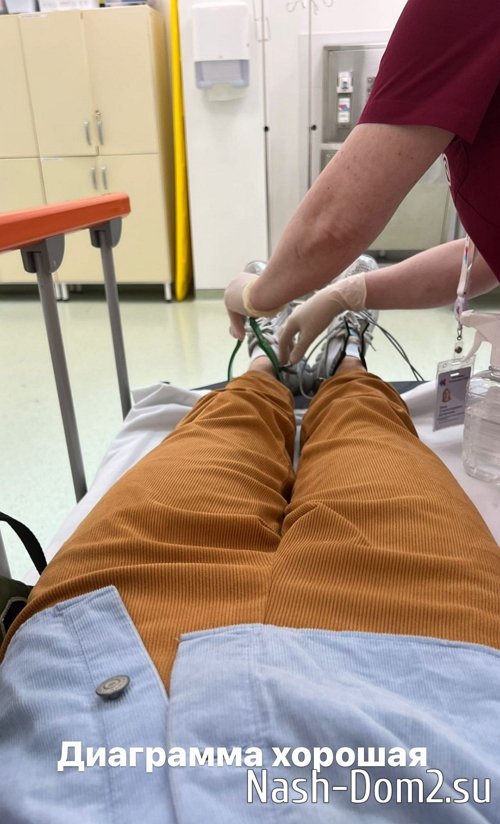 ������� ����������: �������, ���� ����