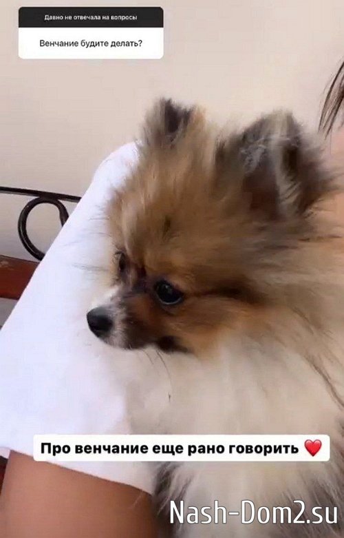 ��� ��������: �� ������� ������ ���