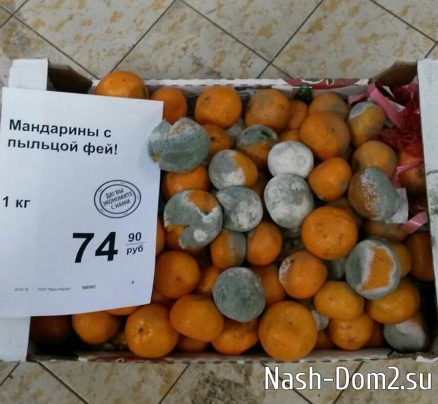 ������ � ��������� ��������� �������� (31.05.2023)