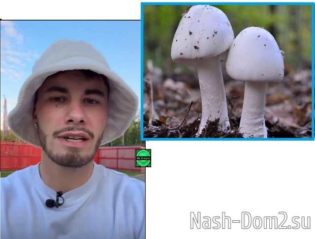 ������� ���-2 (6.06.2023)