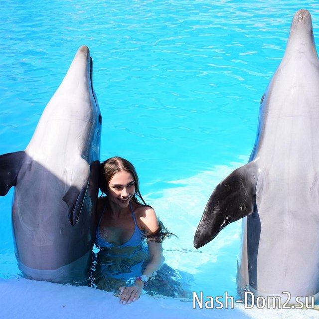 ����� ����� ���: ��������� ��������