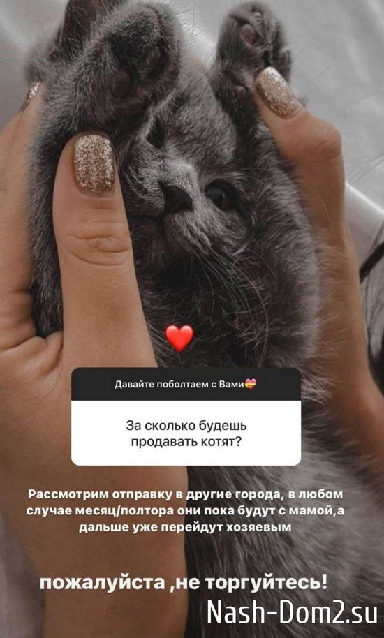 ��������� ������: ���� �� �����, ��� �� ���!