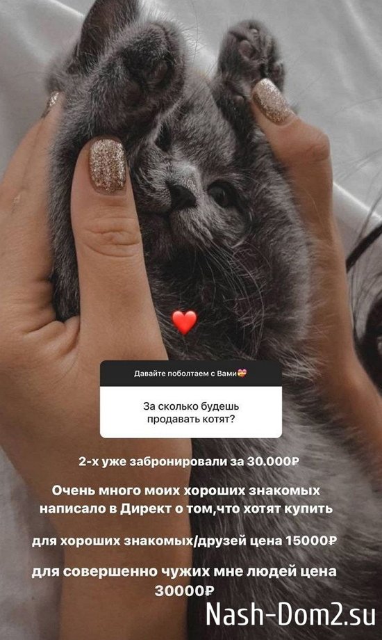 ��������� ������: ���� �� �����, ��� �� ���!