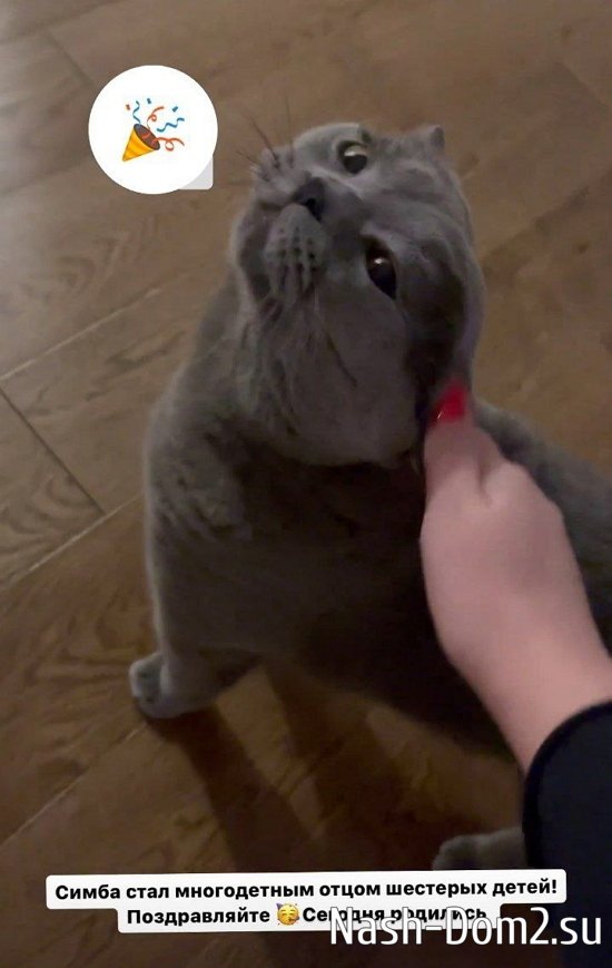 ��������� ������: ���� �� �����, ��� �� ���!