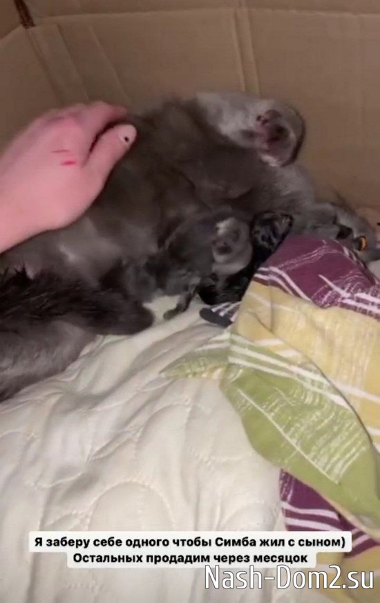 ��������� ������: ���� �� �����, ��� �� ���!